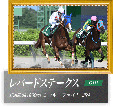 レパードステークス　JRA新潟1800m　ミッキーファイト