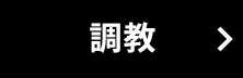 調教