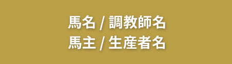 馬名 / 調教師名 / 馬主 / 生産者名