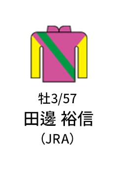 牡3 / 57 / 田邊 裕信（JRA） / なし