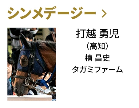 シンメデージー / 打越 勇児（高知） / 楠 昌史 / タガミファーム