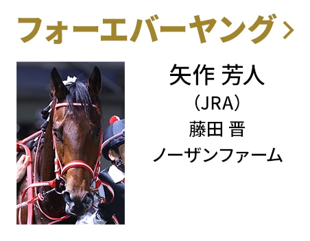 フォーエバーヤング / 矢作 芳人（JRA） / 藤田 晋 / ノーザンファーム