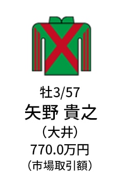 牡3 / 57 / 矢野 貴之（大井） / 770.0万円