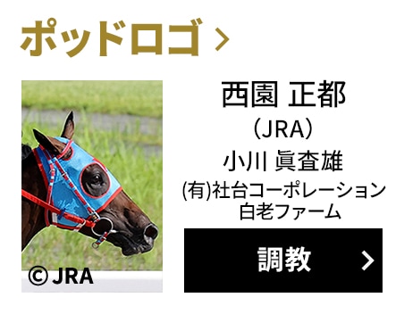 ポッドロゴ / 西園 正都（JRA） / 小川 眞査雄 / （有）社台コーポレーション白老ファーム