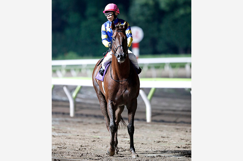 2023年 ドンフランキー　雨の不良馬場でレコード勝ち