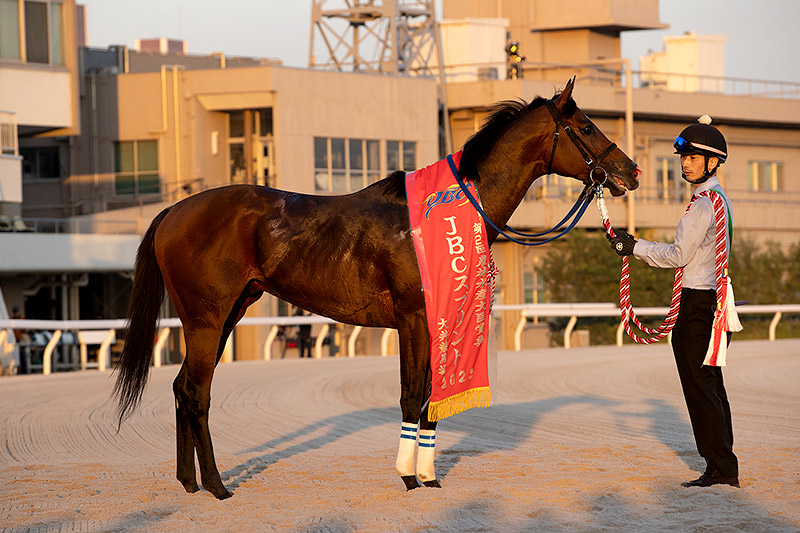 2023年 イグナイター　直線抜け出し人気馬を完封