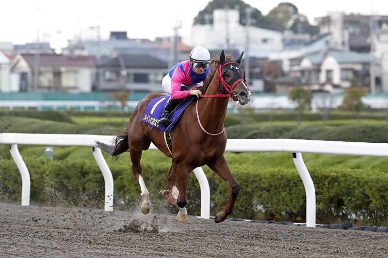 2021年 メイショウカズサ　1番人気にこたえ逃げ切る