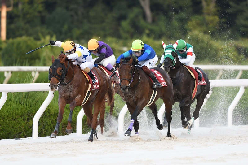 2021年 セキフウ 直線抜け出し人気馬対決を制す