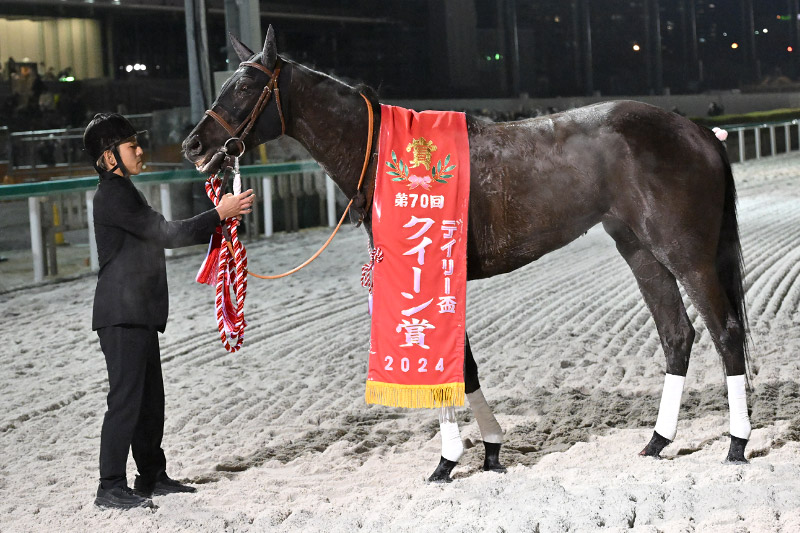 2024年 アーテルアストレア 早め進出から直線差し切り完勝