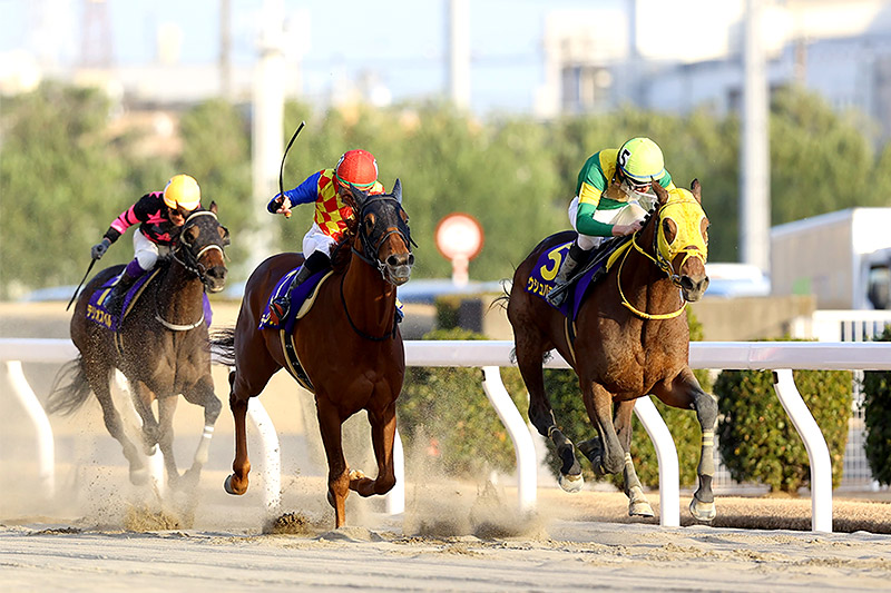 2023年 ウシュバテソーロ ロスなく運びジーワン連勝