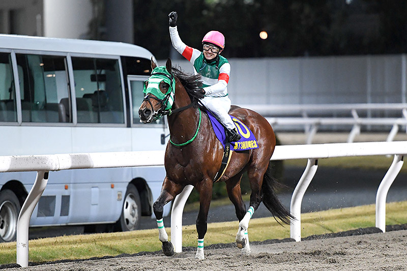 2024年 ライトウォーリア 地元川崎で歓喜のJpnI初制覇