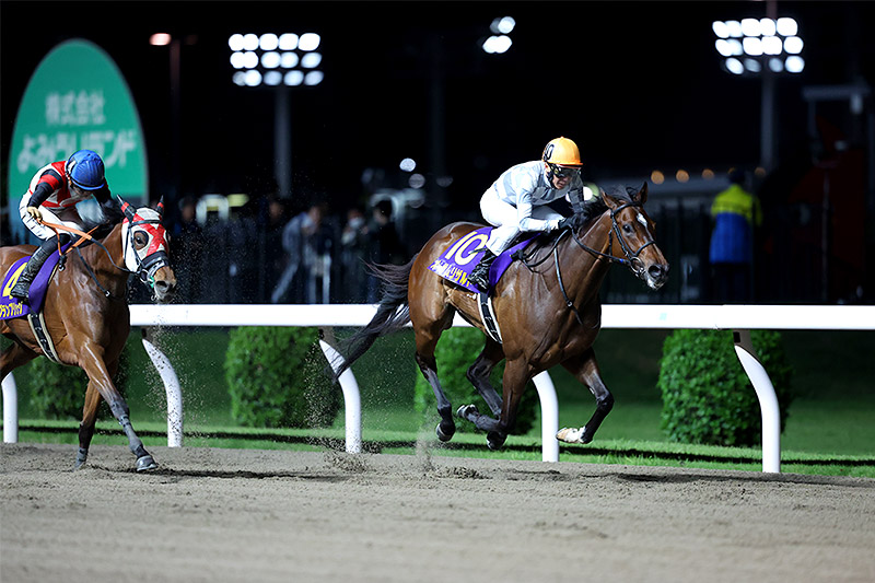 2024年 オーサムリザルト 無傷6連勝でニューヒロイン誕生