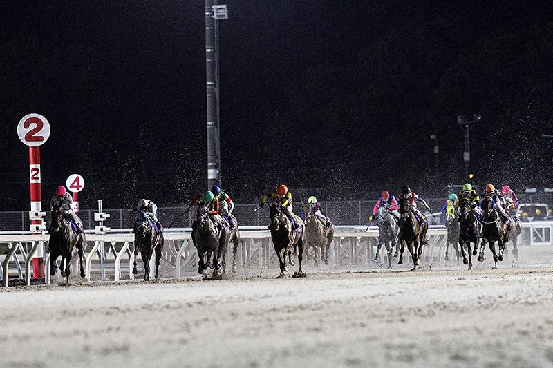 2024年 オーサムリザルト　圧倒的人気にこたえ5馬身差