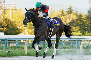 過去5年の競走成績 2024