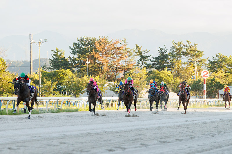 2024年 ディクテオン　5馬身差で貫録示す
