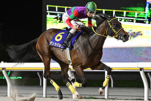 過去5年の競走成績 2024
