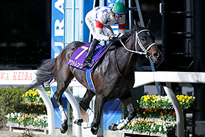 過去5年の競走成績 2024