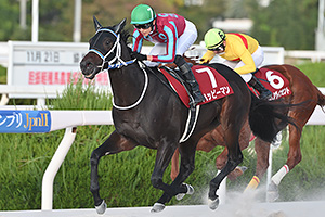 過去5年の競走成績 2024