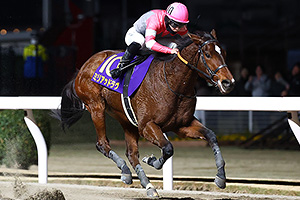 過去5年の競走成績 2024