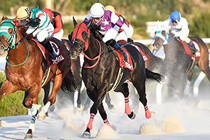 過去5年の競走成績 2024