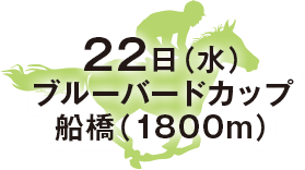 ブルーバードカップ