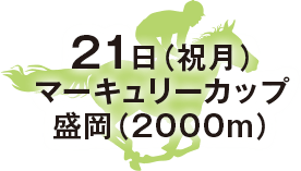 マーキュリーカップ