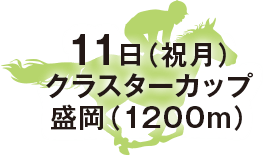 クラスターカップ