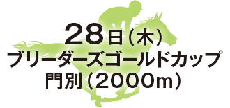 ブリーダーズゴールドカップ