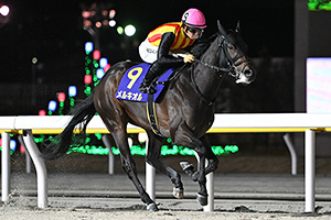 過去5年の競走成績 2025