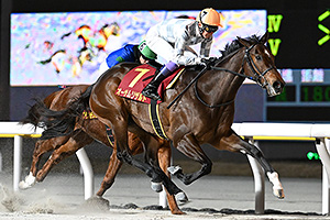 過去5年の競走成績 2025