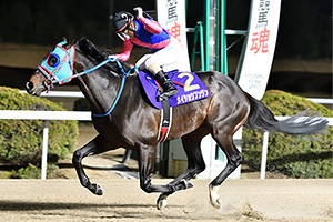 過去5年の競走成績 2025