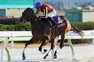 過去5年の競走成績 2025