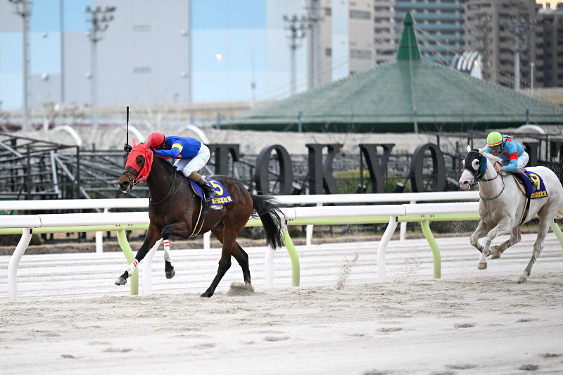 2024年 ブルーサン　得意の逃げで後続を完封