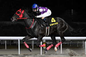 過去5年の競走成績 2024