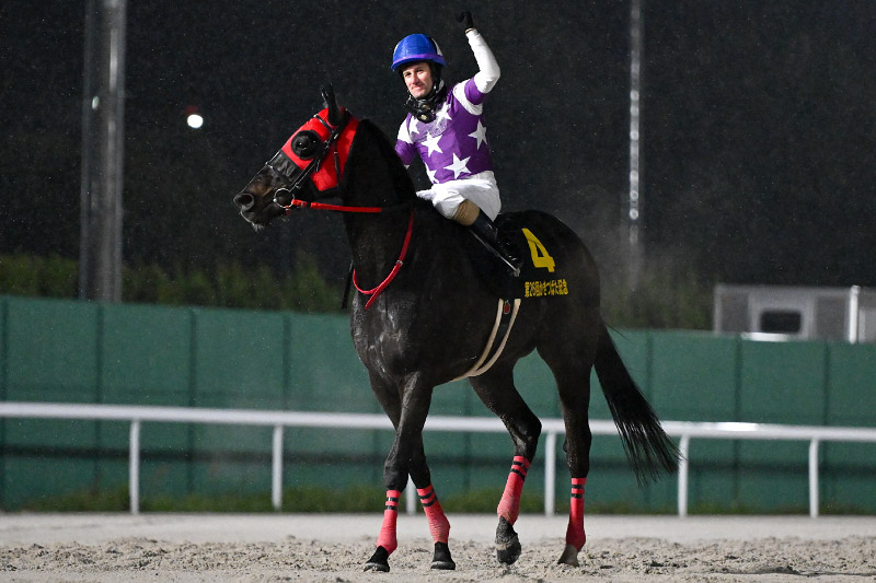 2024年 サンライズホーク 鞍上の好判断で逃げ切る