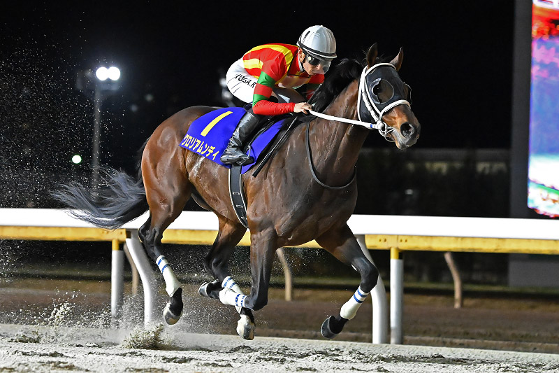 2023年 グロリアムンディ　9馬身差で初タイトル