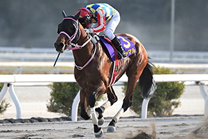 過去5年の競走成績 2025