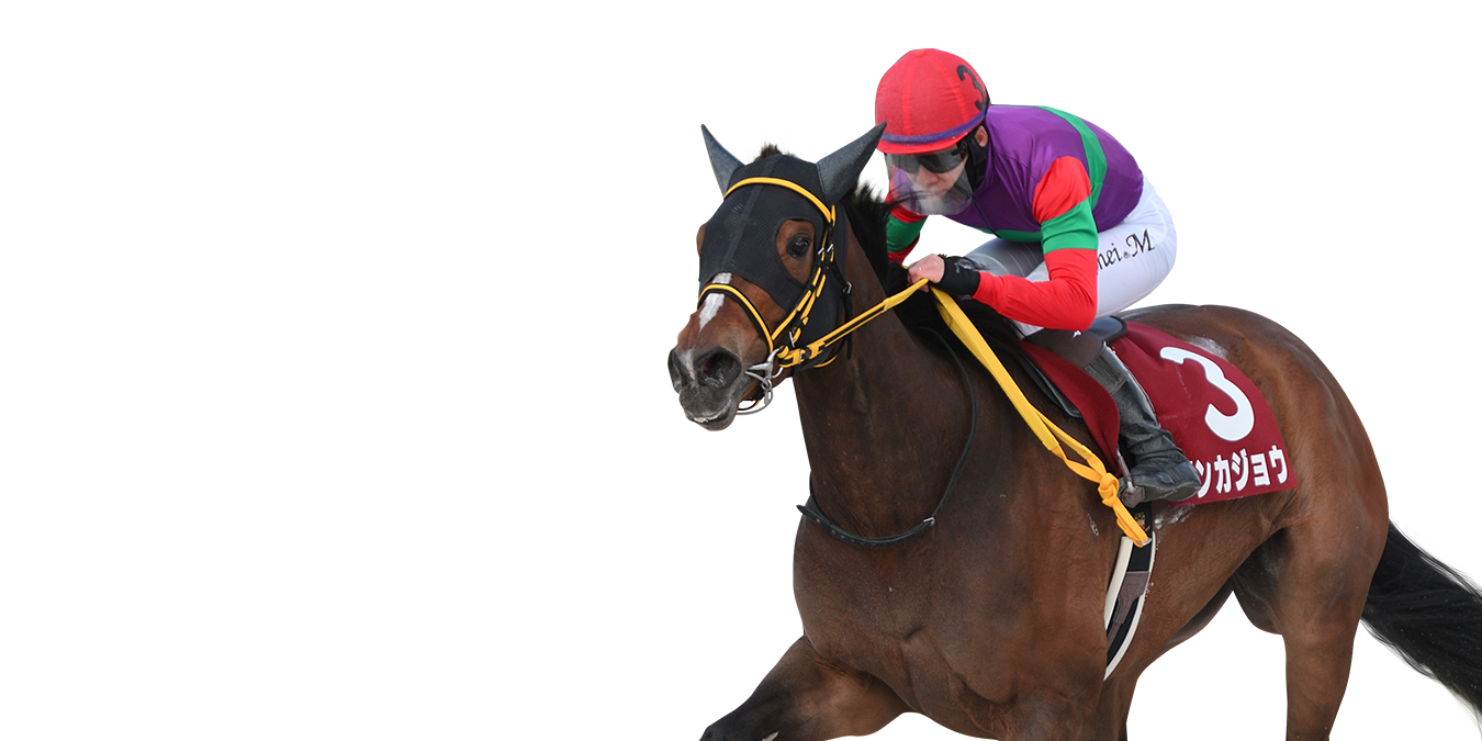 2026年4月1日(水)  兵庫女王盃 JpnIII