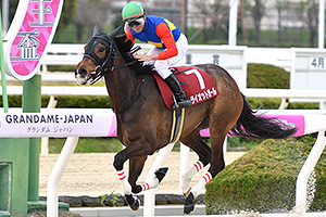 過去5年の競走成績 2024