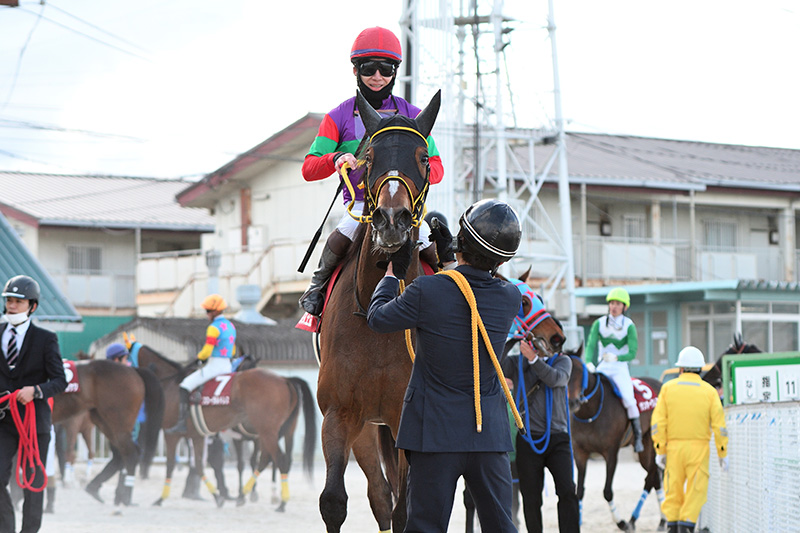 2025年 テンカジョウ　人気に応えて、ダートグレード2勝目