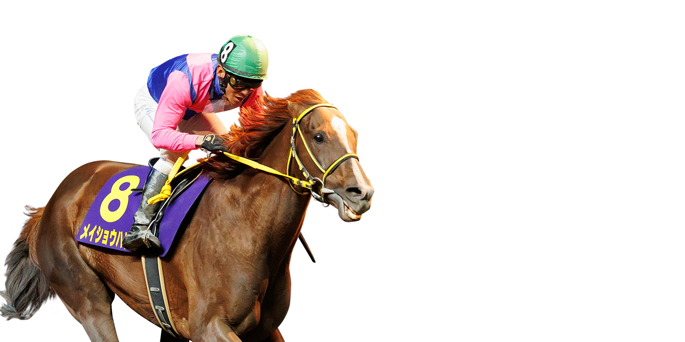 2026年4月8日(水) 川崎記念 JpnI