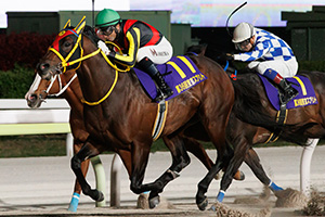 過去5年の競走成績 2025