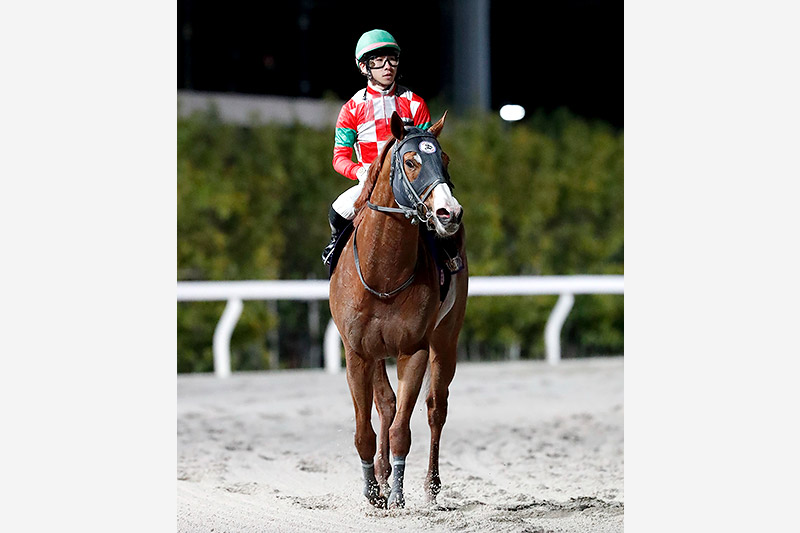 2024年 ジャスティン　すべてが噛み合い8歳馬が復活