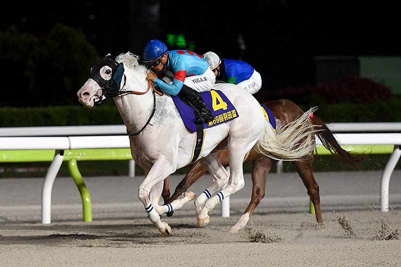2024年 アマンテビアンコ　白毛がダート三冠初年に名を刻む