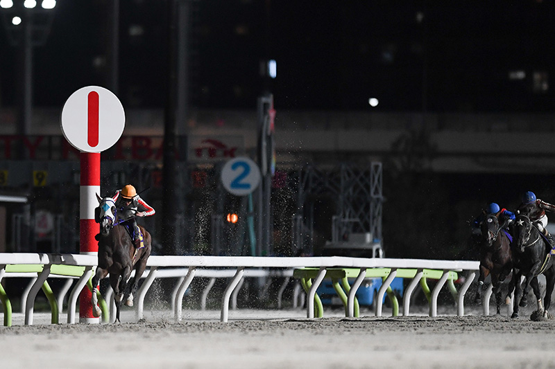 2025年 ナチュラルライズ　5馬身差の圧勝、JpnI初制覇