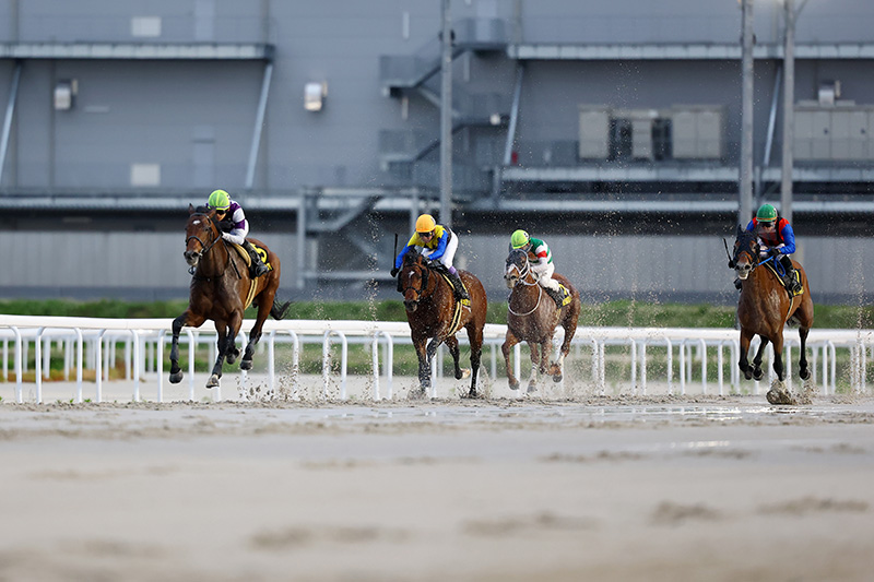 2025年 サンライズジパング　危なげない競馬で2馬身差V