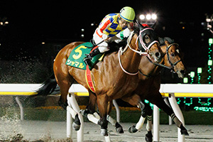 過去5年の競走成績 2025