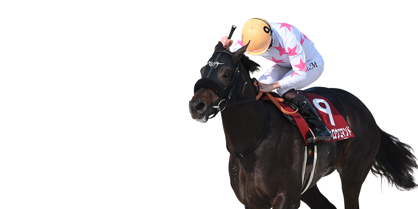 レース紹介｜兵庫チャンピオンシップ 2026年｜ダートグレード競走特設