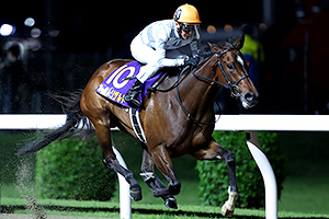 過去5年の競走成績 2024