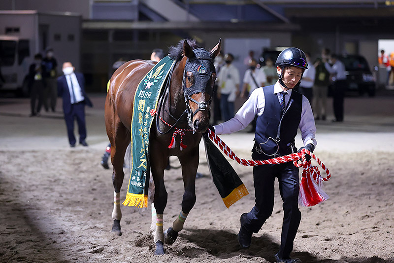 2023年 パライバトルマリン 完璧に折り合い距離を克服